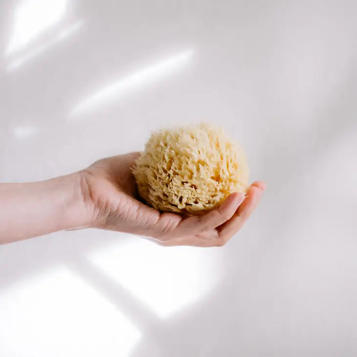 Sustainable Natural Sea Sponge